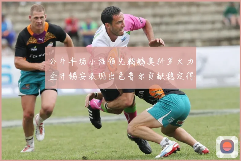 公牛半场小幅领先鹈鹕奥科罗火力全开锡安表现出色普尔贡献稳定得分